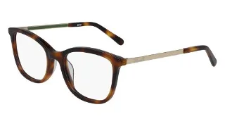 240 Soft Tortoise