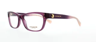 5351 Crystal Plum/Crystal Plum Blush Grad