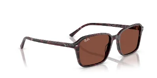 Ray Ban Sunglasses RB2231