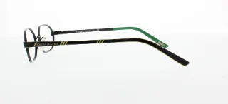 Polo Eyeglasses PP8017