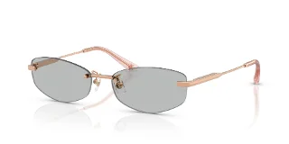 300887 Rose Gold