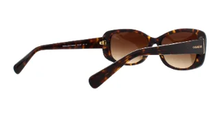 Coach Sunglasses HC8168 L156