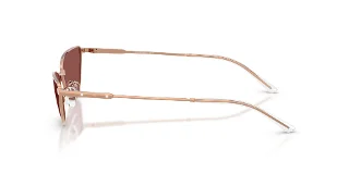 Emporio Armani Sunglasses EA2174B