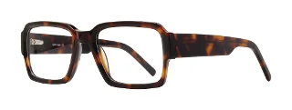 Tortoise