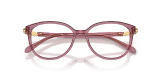 Swarovski Eyeglasses SK2070F