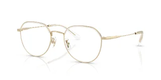 9464 Shiny Light Gold/Clear