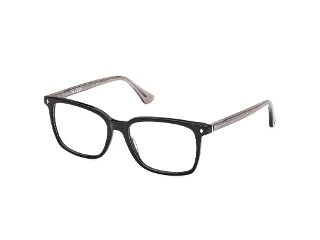 Web Eyeglasses WE5401