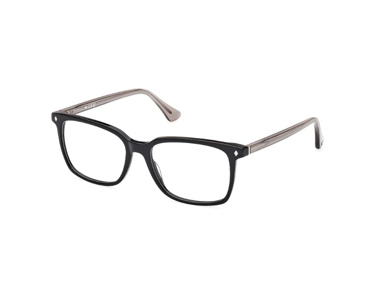 Web Eyeglasses WE5401
