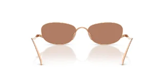 Giorgio Armani Sunglasses AR6186