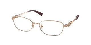 Coach Eyeglasses HC5118B