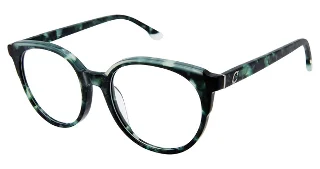 Champion Eyeglasses REACH