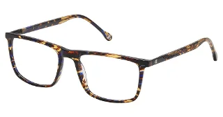 C02 Blue Tortoise