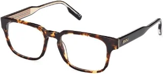 054 Shiny Tokyo Tortoise, Road 232 Core Insertion