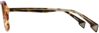 State Optical Sunglasses Diversey