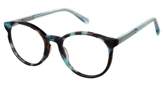 C03 Blue Tortoise
