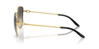 Ralph Lauren Sunglasses RL7079