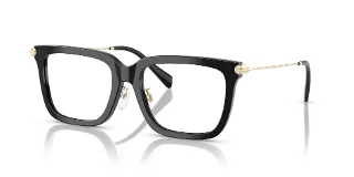 3005 Black
