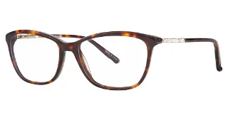 tortoise gold
