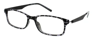 Charcoal Tortoise