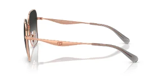 Coach Sunglasses HC7168