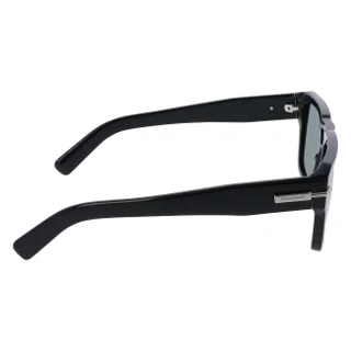 Salvatore Ferragamo Sunglasses SF2070S