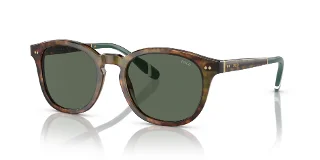 501771 Shiny Brown Tortoise
