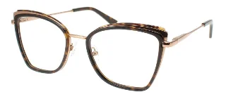 Black Tortoise