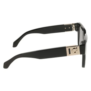 Salvatore Ferragamo Sunglasses SF2084S