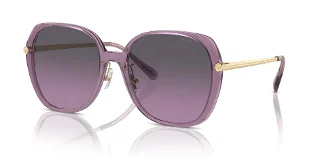 582590 Transparent Purple