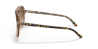 Ray Ban Sunglasses RB2198