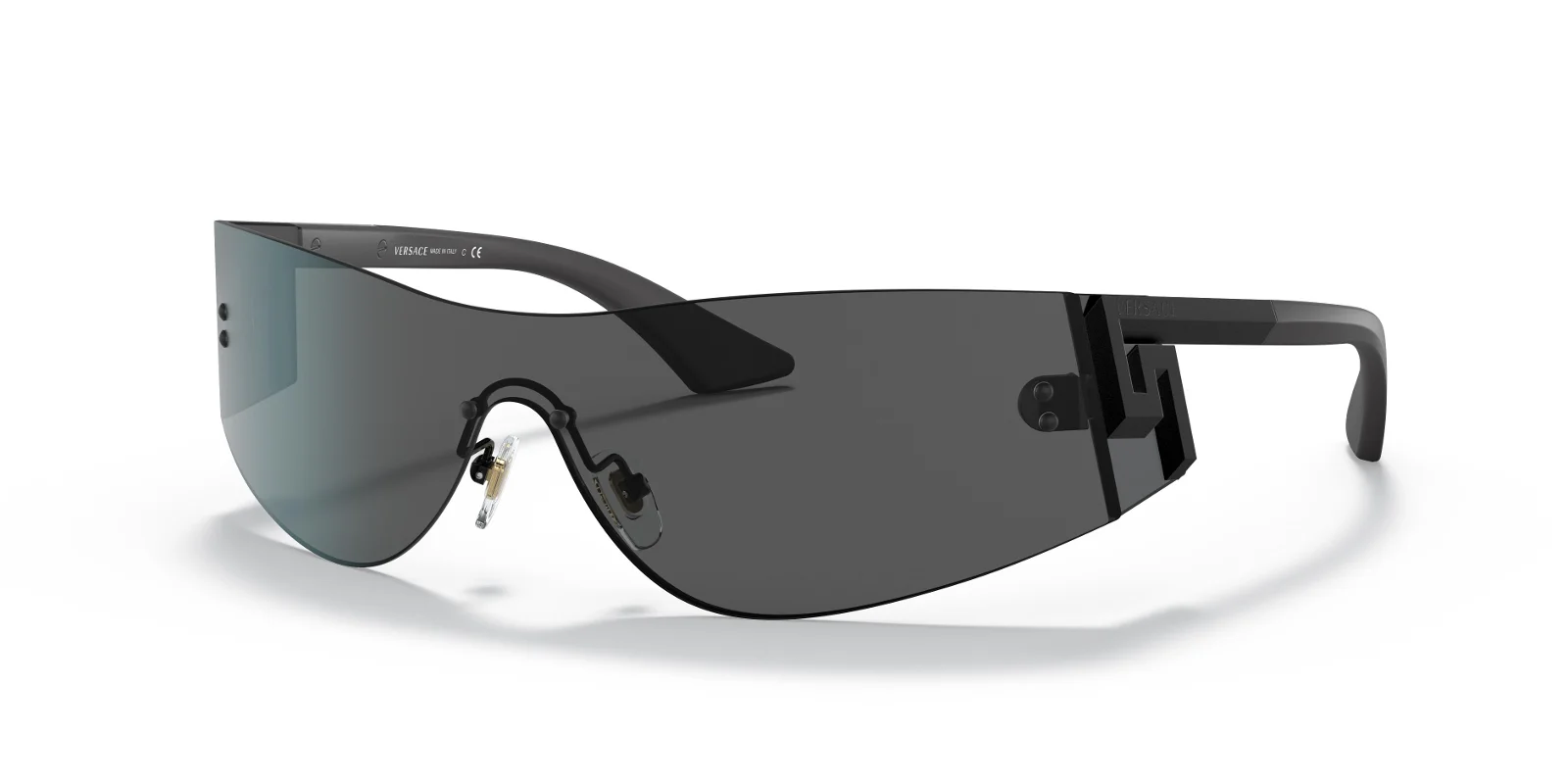 Versace Sunglasses VE2241