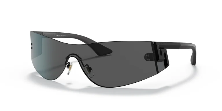 Versace Sunglasses VE2241
