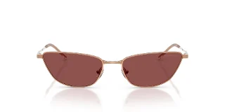 Emporio Armani Sunglasses EA2174B
