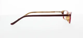 Polo Eyeglasses PP8501
