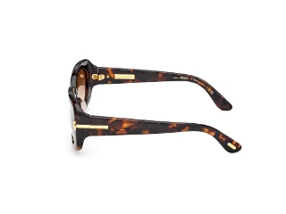Tom Ford Icon Sunglasses FT1253-F