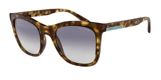 Armani Exchange Sunglasses AX4082S
