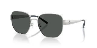 327487 Silver