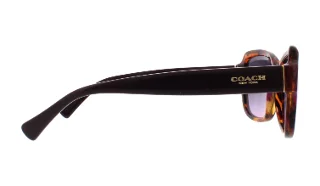 Coach Sunglasses HC8160 L145