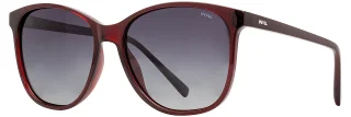 INVU Sunglasses INVU- 263
