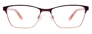 Easyclip Eyeglasses EC455