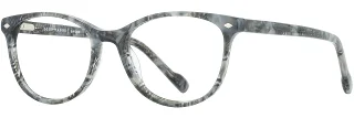C02 Charcoal