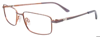 Easyclip Eyeglasses EC622