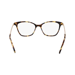 Dkny Eyeglasses DK7010