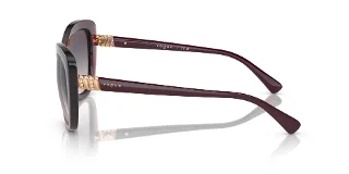 Vogue Sunglasses VO5515SB