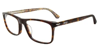 0722 Tortoise