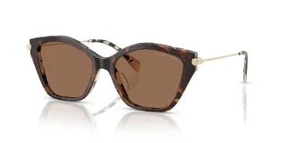 395173 Dark/Cream Tortoise