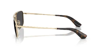 Burberry Sunglasses BE3170