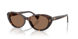 500373 Dark Havana