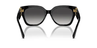 Ralph Lauren Sunglasses RL8221
