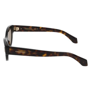 Salvatore Ferragamo Sunglasses SF2062SE